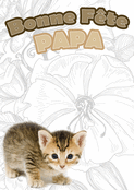 Un adorable chaton pour mon papa